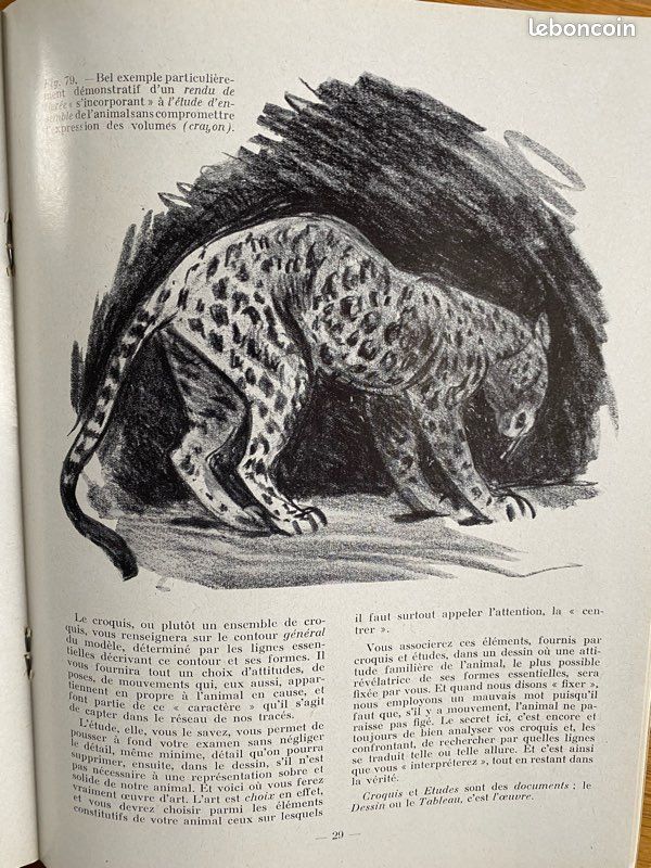 Les animaux cours de dessin et de peinture (image 7)