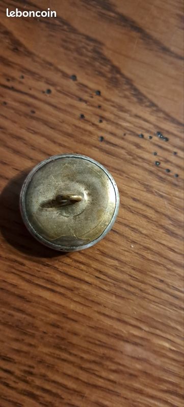 Bouton Ancien Chasse Vénerie, Rallye, Loup Ou Chien, Cuivre 15mm, France