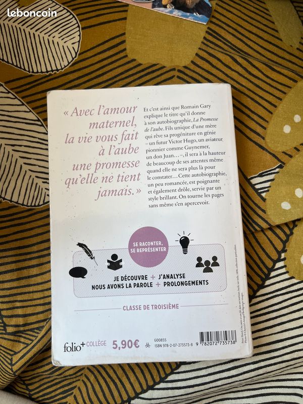 La promesse de L’Aube (image 2)