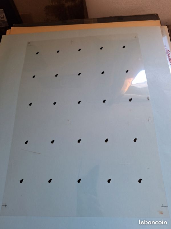 Serigraphie cochons (image 4)