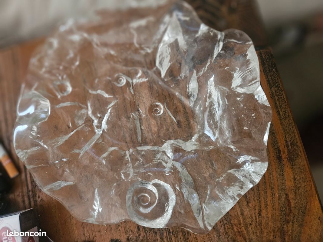 Coupe en verre jolanda coquillage (image 1)