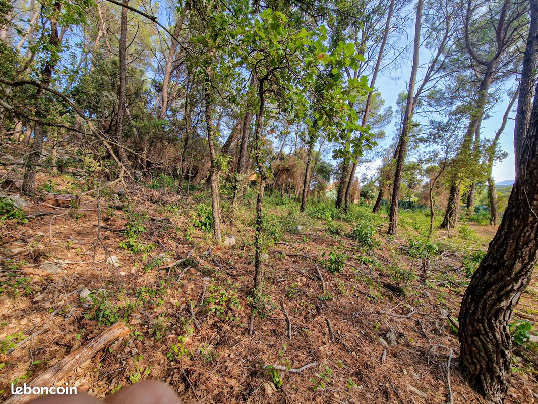 Terrain 2200 m² · à Flayosc · 2 200 m² · 145 000 €