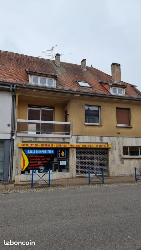 Immeuble 12 pièces 370 m² · à Puttelange-aux-Lacs · 370 m² · 260 000 €
