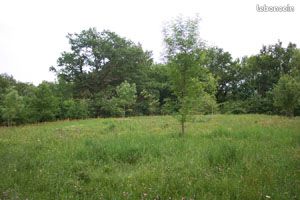 Terrain de 529 M2 - Pernes les fontaines