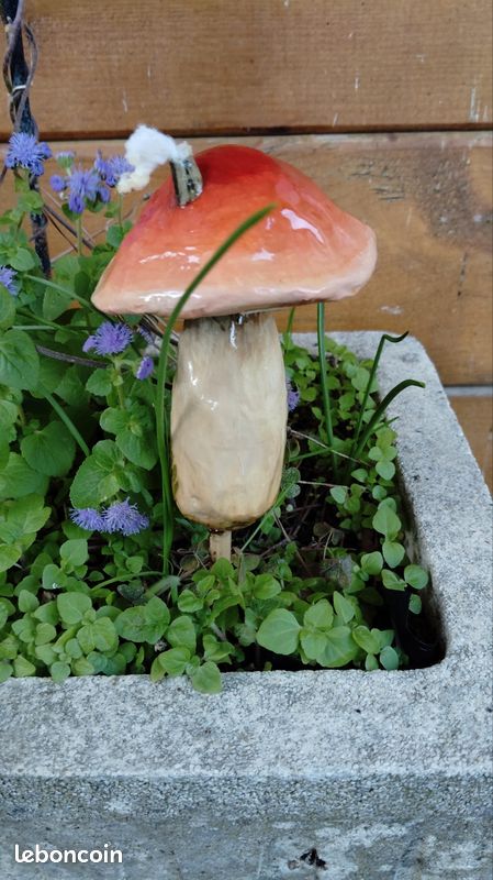 Champignon maison dĂ©coratif đ (image 6)