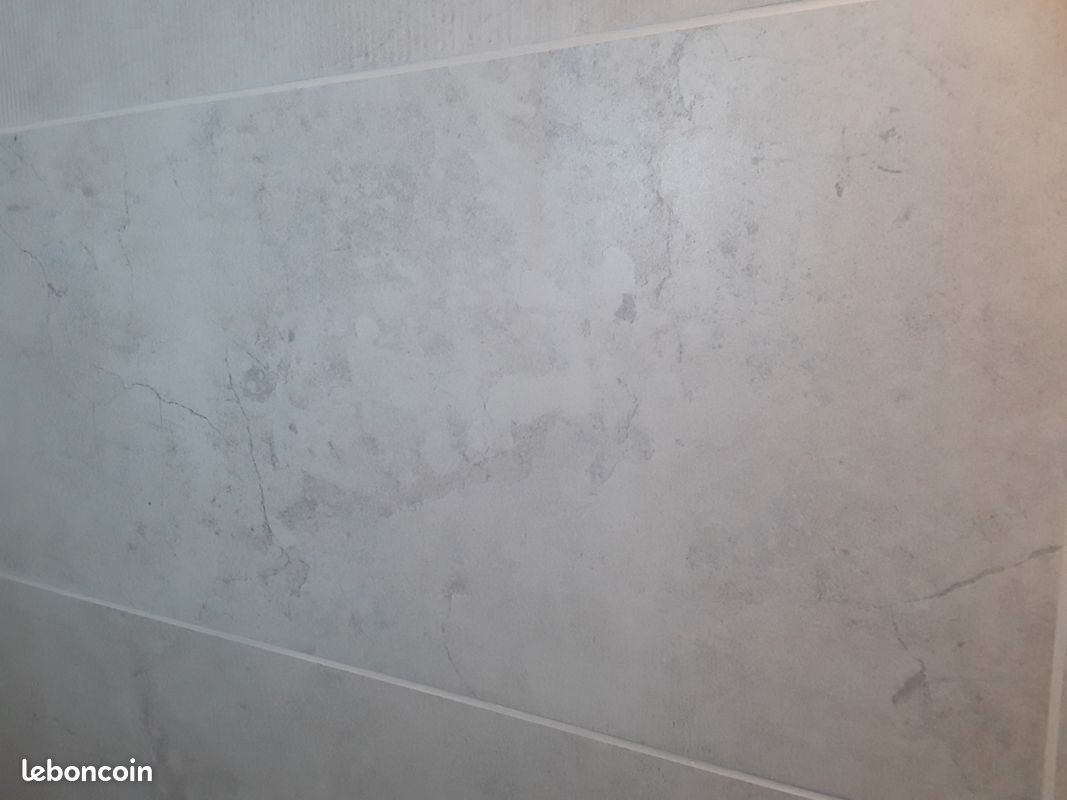 🔎 carrelage CENIZA 100 x 31,5 cm (image 1)