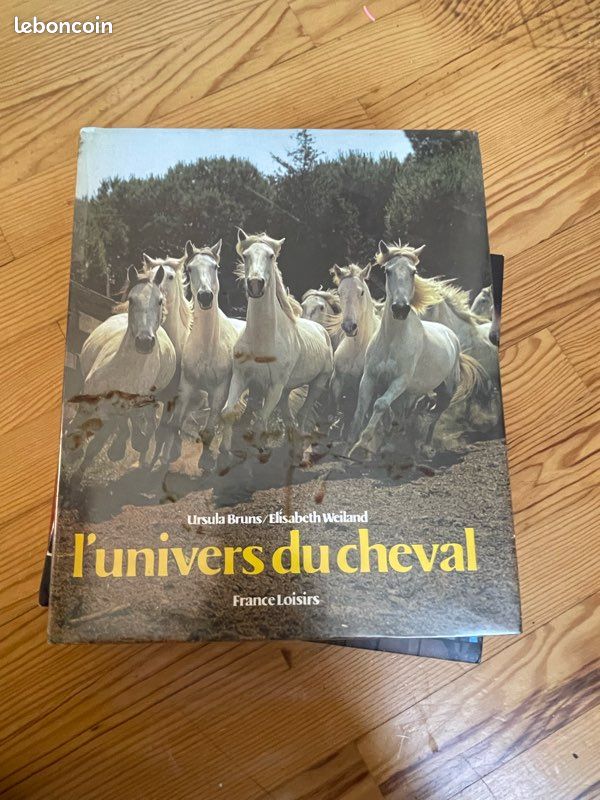 LOT livre cheval équitation divers + figurines de cheval (image 4)