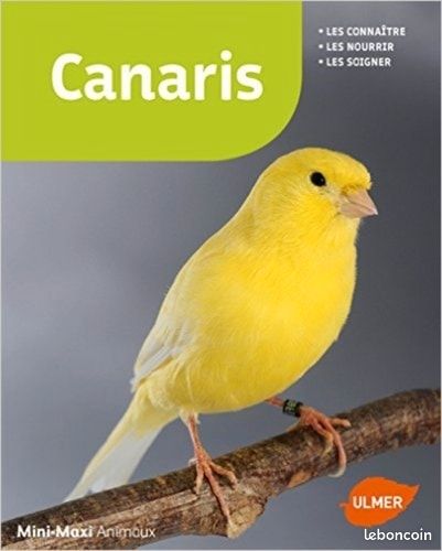 Canaris (image 1)