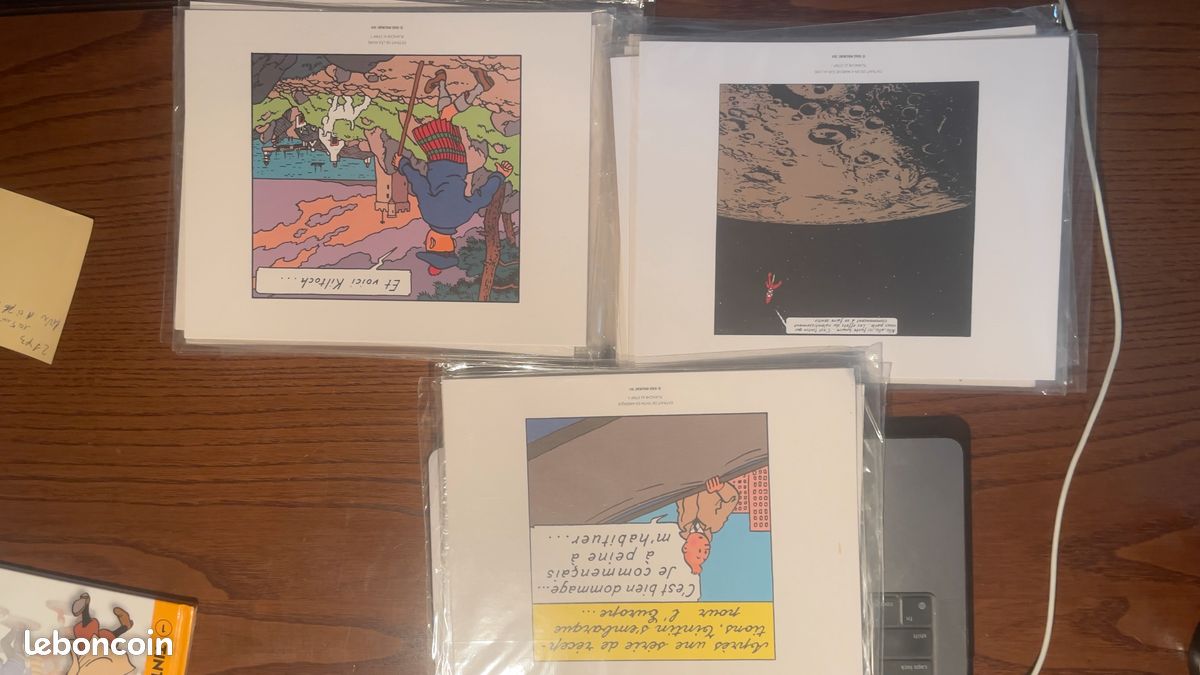 Collection prestige Tintin avec DVD, Livret et tiré–à-part (image 4)