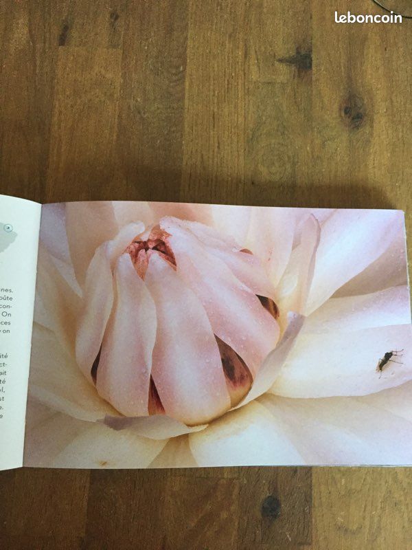 Livre :La biodiversité Yann Arthus -Bertrand (image 5)