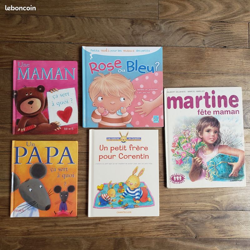 5 ouvrages littérature de jeunesse thème famille, fêtes des mères/pères, arrivée petit frère/soeur (image 1)