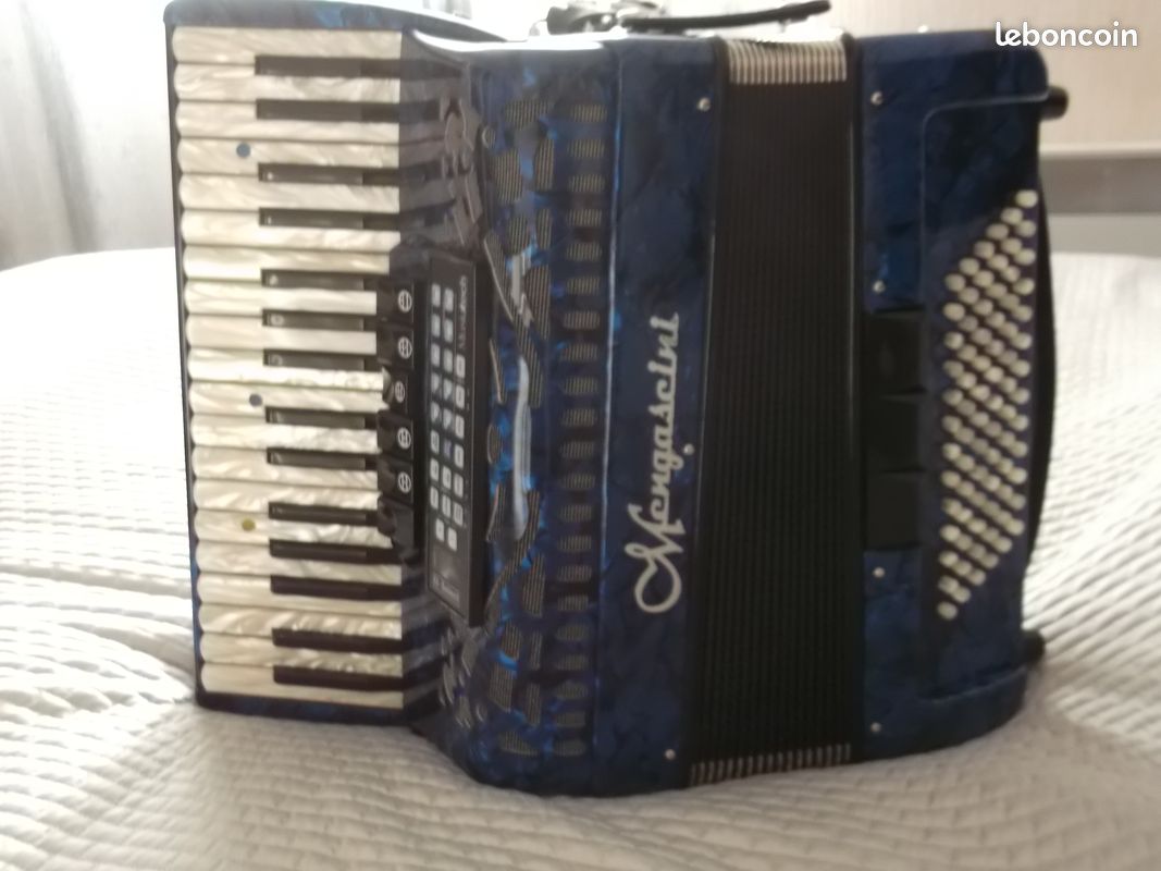 Accordéon Midi touches piano (image 1)