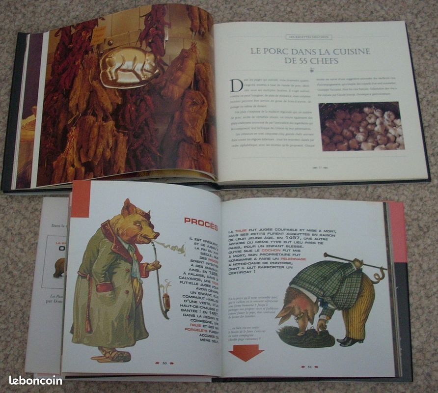 LE COCHON et LA PASSION DES COCHONS (image 2)