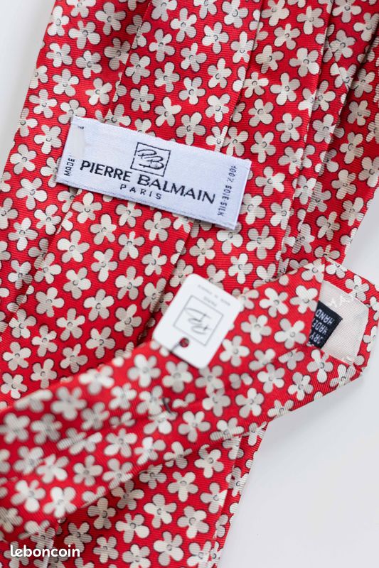 ATWARDSON Cravate Homme Soie Paisley Rouge Élégante