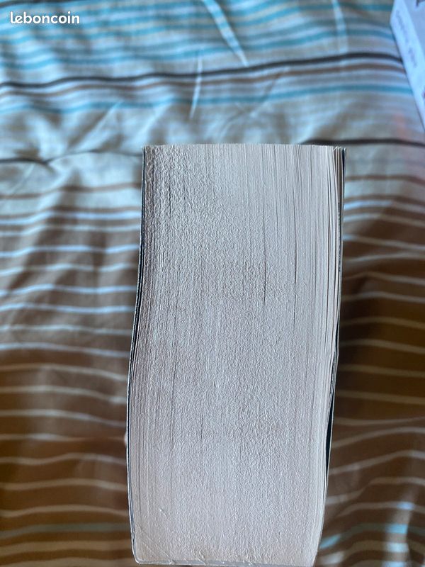 Livre Lakestone t1 de Sarah Rivens (image 5)