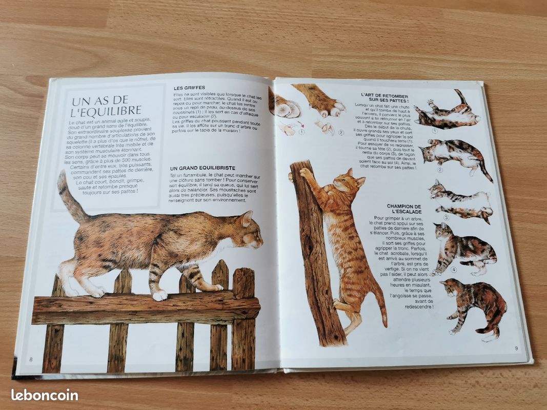 L'imagerie animale, les chats (image 3)