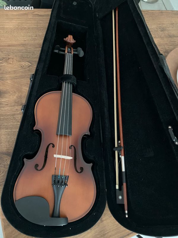 Violon 4/4 (image 1)