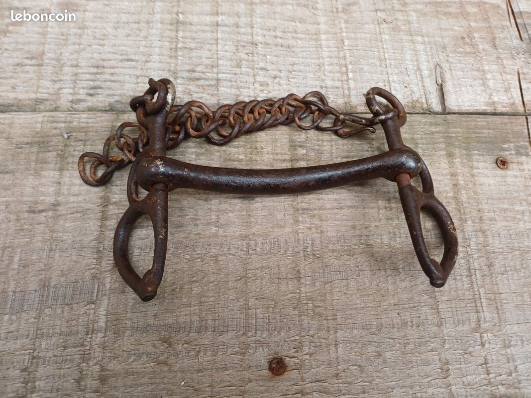 Mors de cheval (image 2)