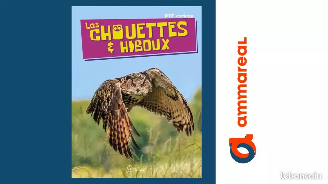 Les chouettes & hiboux - Virginie Jobé-Truffer (image 1)