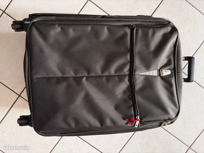 Grande valise Delsey grise 70L Accessoires Bagagerie
