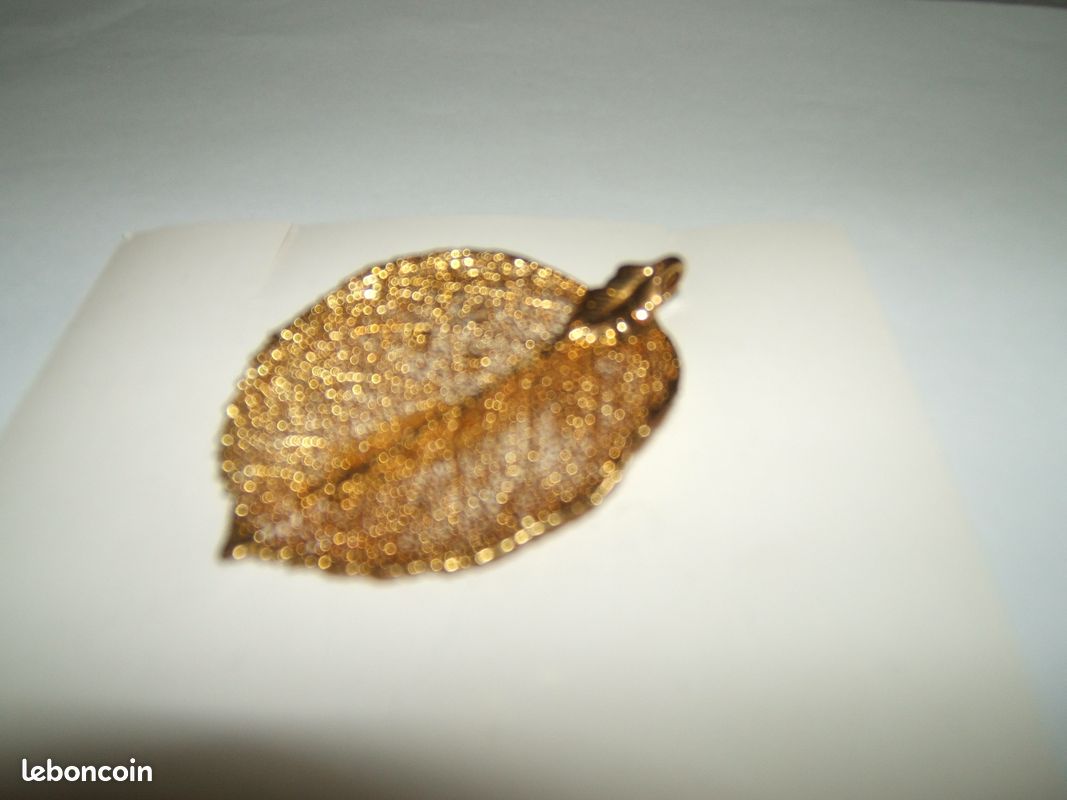 Bijoux de feuilles naturelles (image 2)