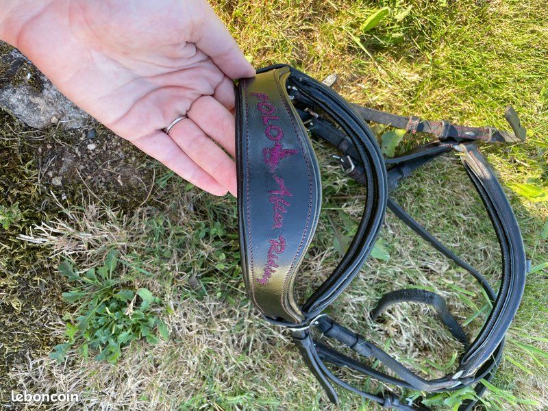 Filet Horse Riding (image 2)