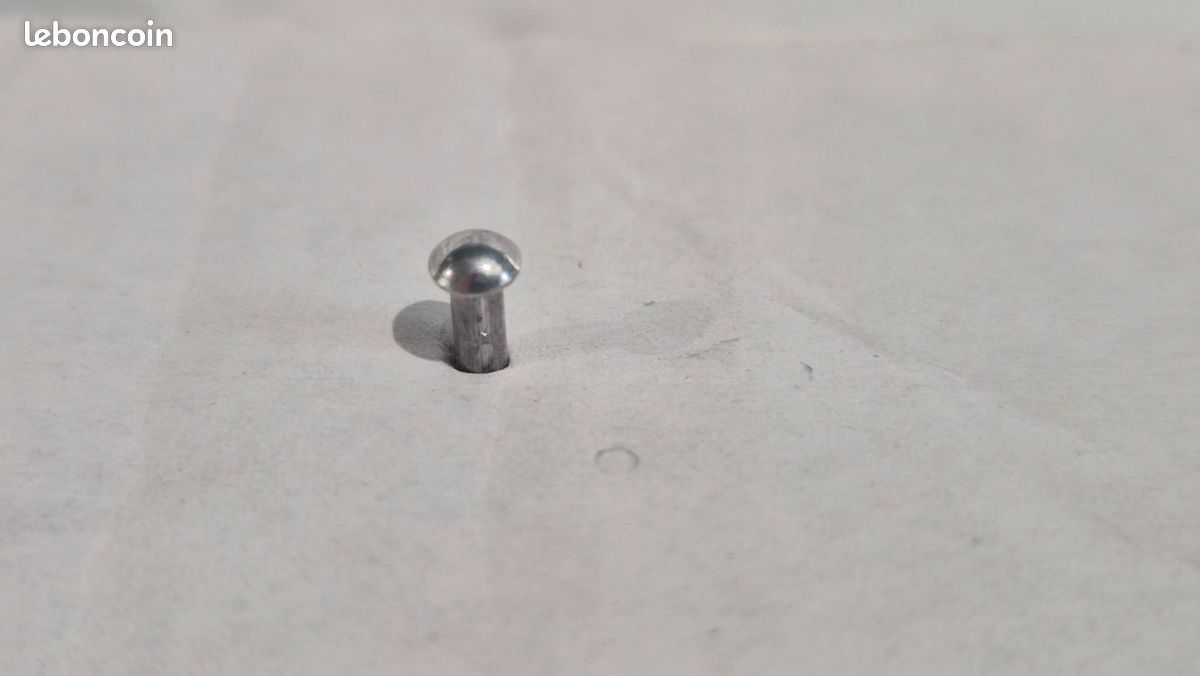 AERZETIX - Lot de 50 Rivets Clou cannelé 2mm - Longueur 4mm - à tête