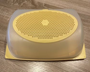 Boite, Cloche Plateau à omages Tupperware en Plastique Bleu Long 30 Cm | Rakuten