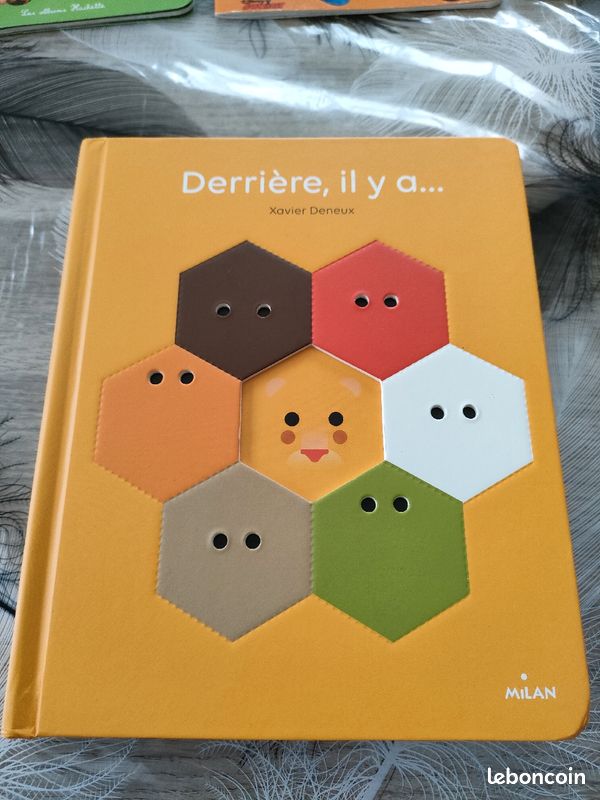 Livre puzzle Derrière il y a... (image 1)