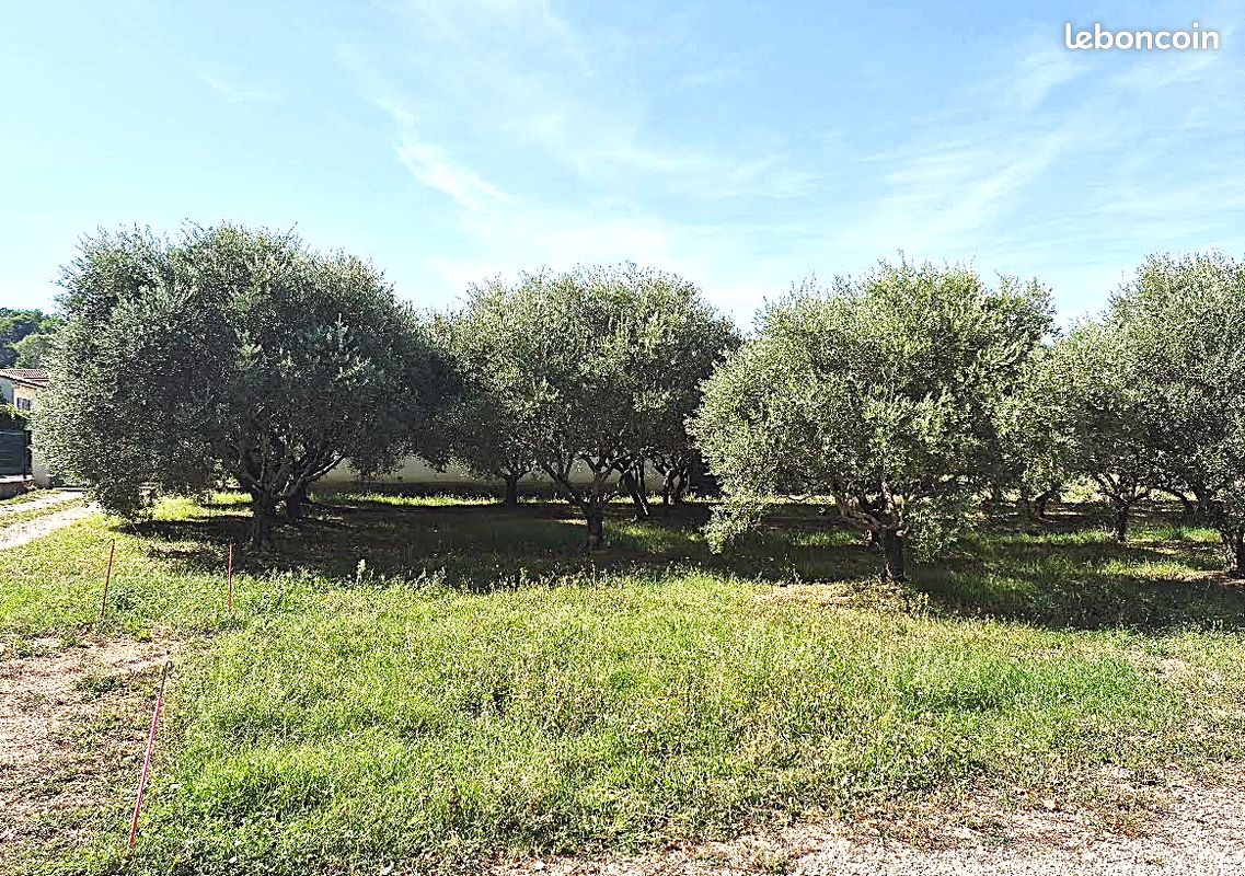 Maison 4 pièces 80 m² · à Malemort-du-Comtat · 80 m² · 245 000 €