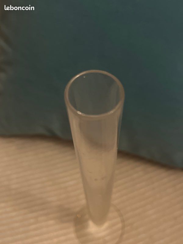 Grand vase soliflore tube baccarat (image 7)