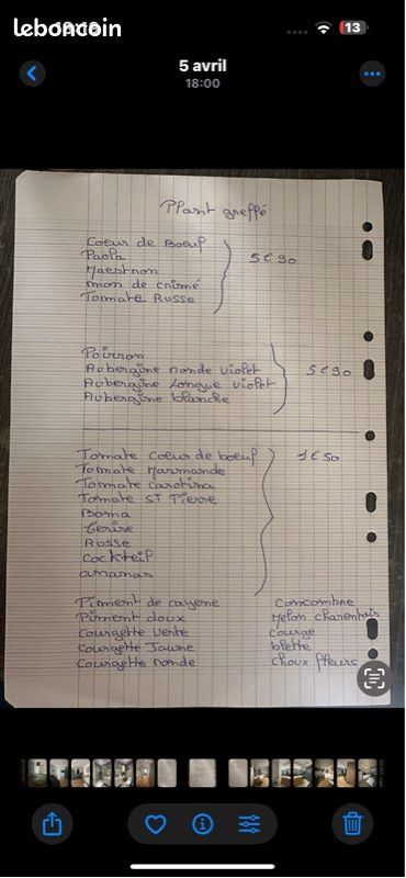 Plants de légumes (image 4)