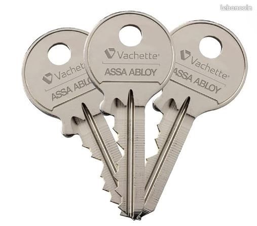 Cylindre de porte 30x30 Vachette ASSA ABLOY (image 8)