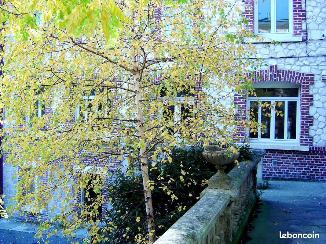 Appartement 2 pièces 46 m² · à Arras · 46 m² · 650 €/mois