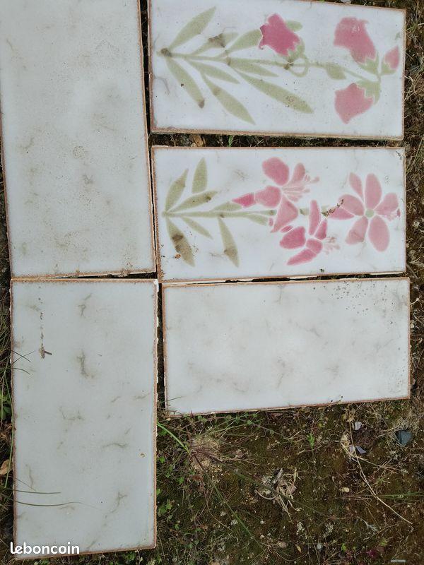 Carrelage plinthe neutre à fleurs (image 1)