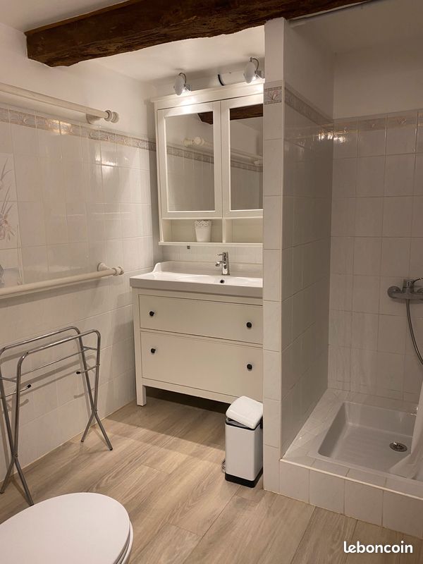 Grand gîte - 15 personnes - Lectoure (Gers 32) (image 20)