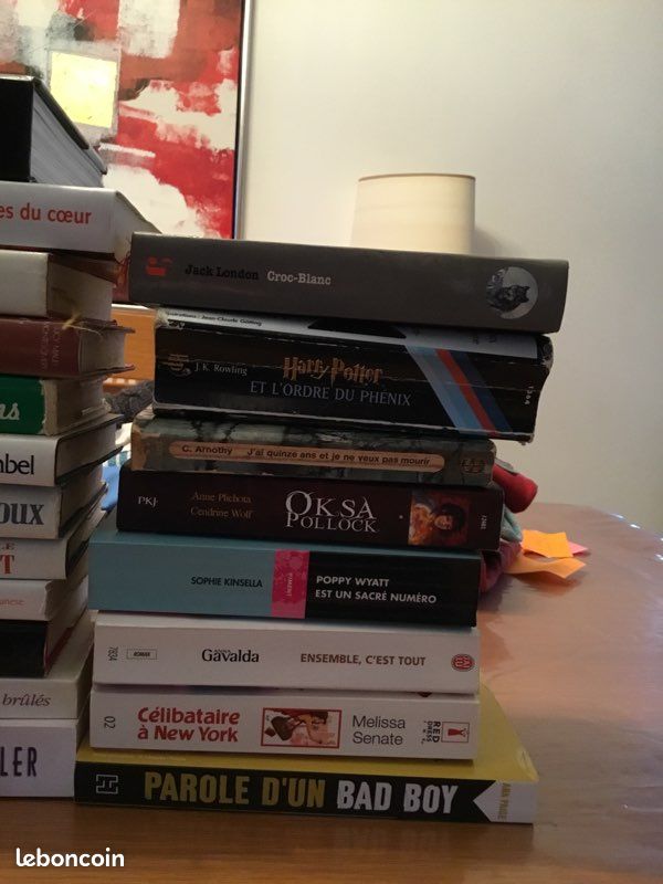 Collection de nombreux romans (image 3)