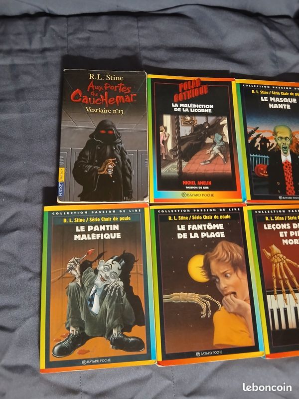 Lot livre horreur jeunesse chair de poule (image 2)