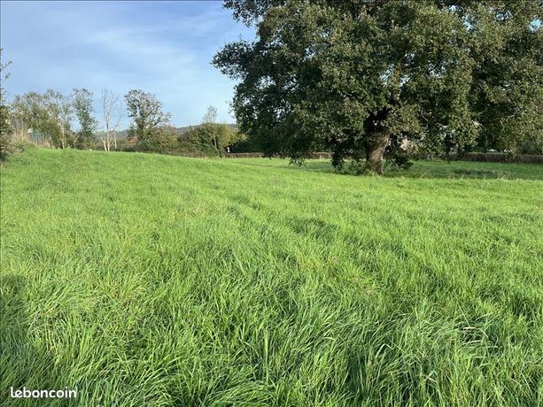 Terrain 1 785 m² Vaux