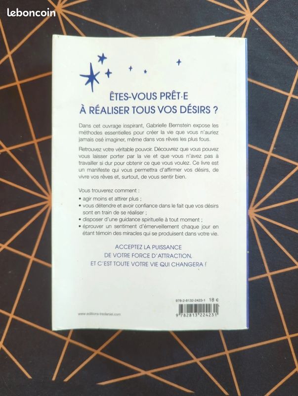 Super Attractor par Gabrielle berstein (image 2)