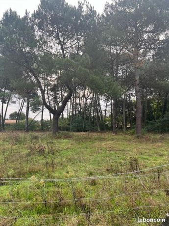 Terrain 560 m² Saint Aubin De Medoc