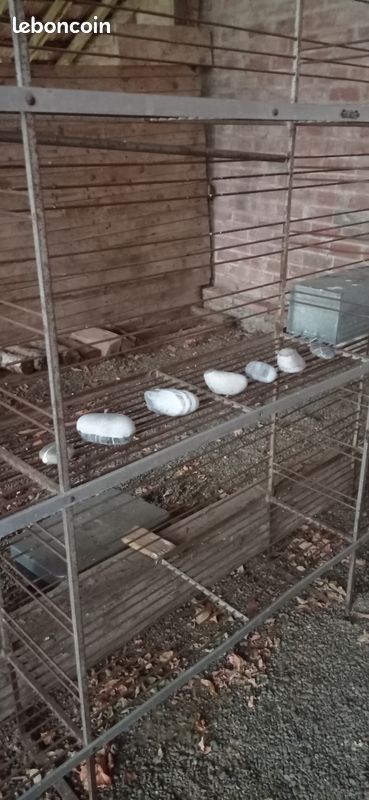Grande Etagère de Boulanger (image 11)