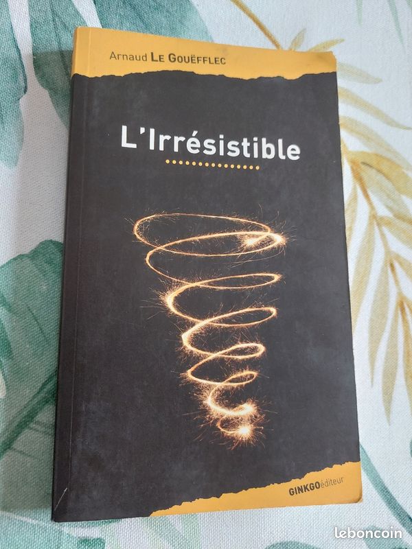 Livre L'irrésistible d' Arnaud Le Gouefflec (image 1)