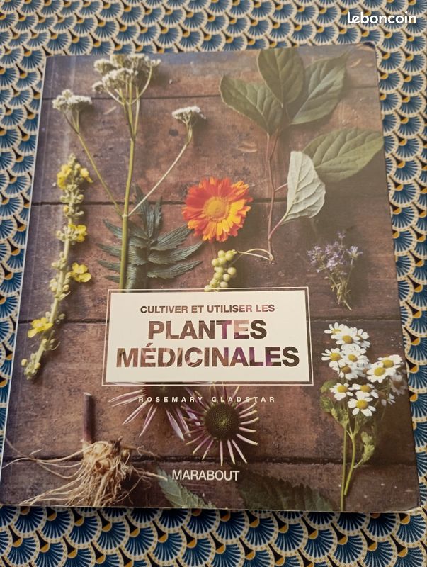 Cultiver et utiliser les plantes médicinales, par Rosemary Gladstar (image 1)