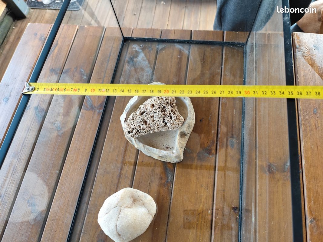 Terrarium (image 2)