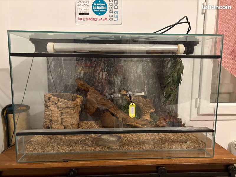 Terrarium (image 1)
