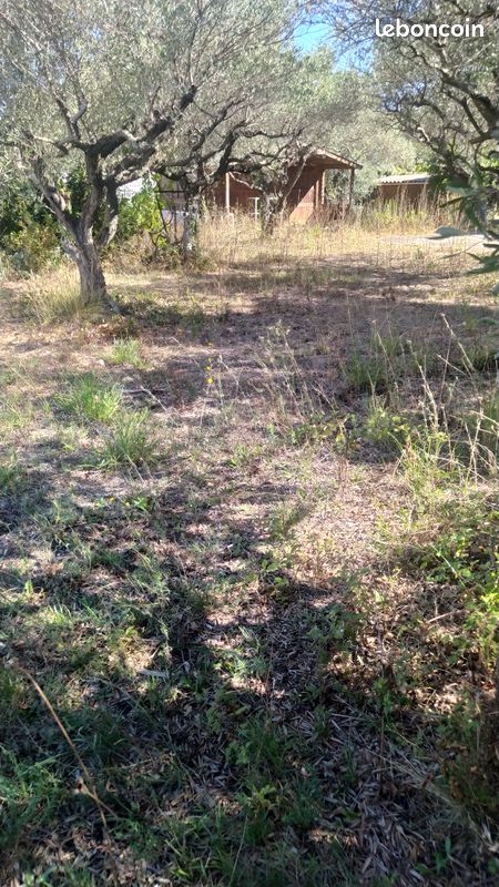 Vente terrain a batir (image 3)