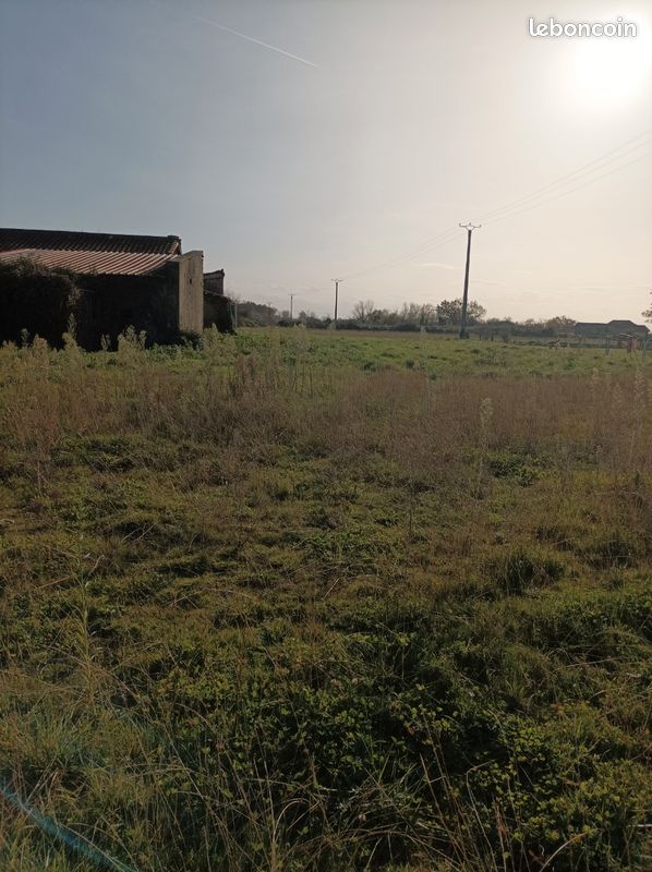 Terrain à vendre sur la commune de sarriac de Bigorre (image 3)