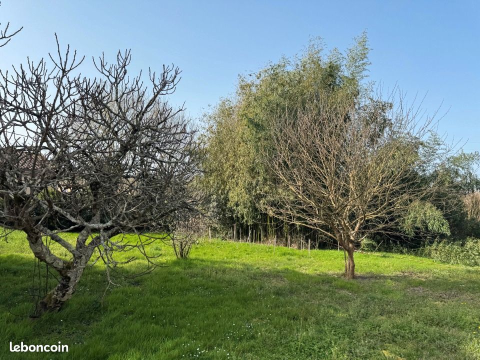 Terrain 630 m² Andernos Les Bains · à Andernos-les-Bains · 195 000 €