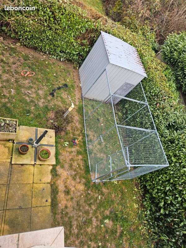 Cabane pour chiens (image 3)